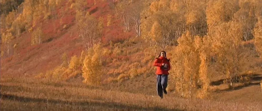 坝上秋色之金色草原,坝上金色草原风景