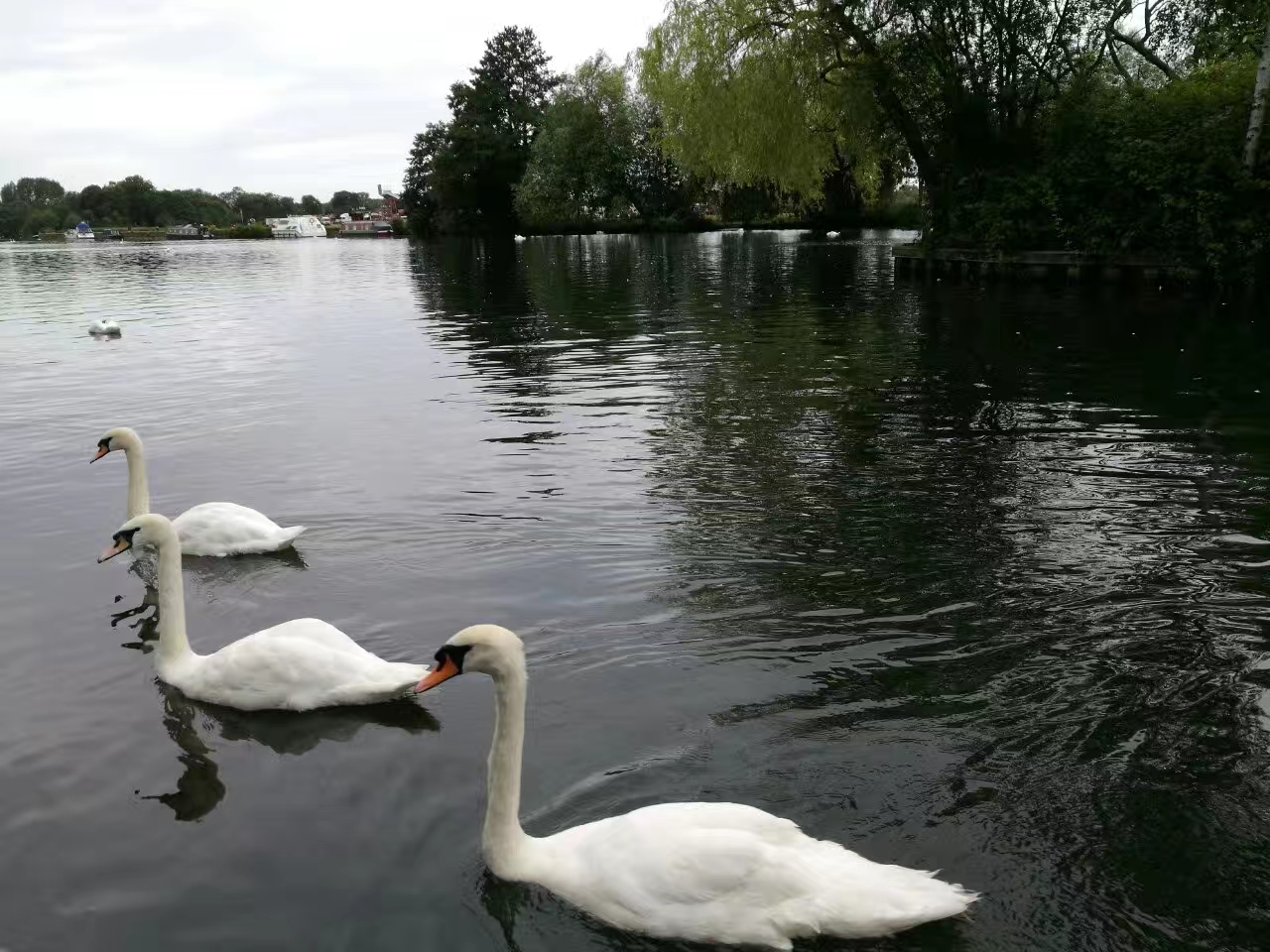 英国游温莎古堡,英国之行爱丁堡攻略