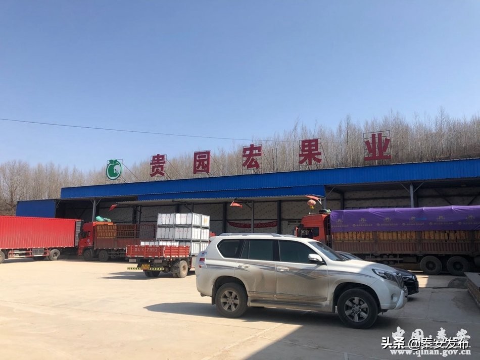 【脱贫致富带头人】何义义:返乡创业感恩故土投资办厂造福桑梓