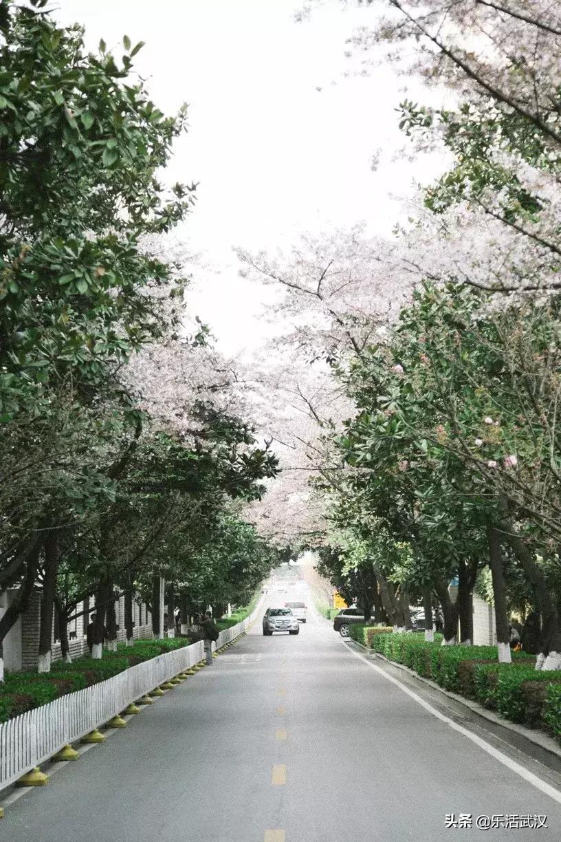 原来武汉有这么多好玩的打卡地,武汉周边新晋7大网红打卡地