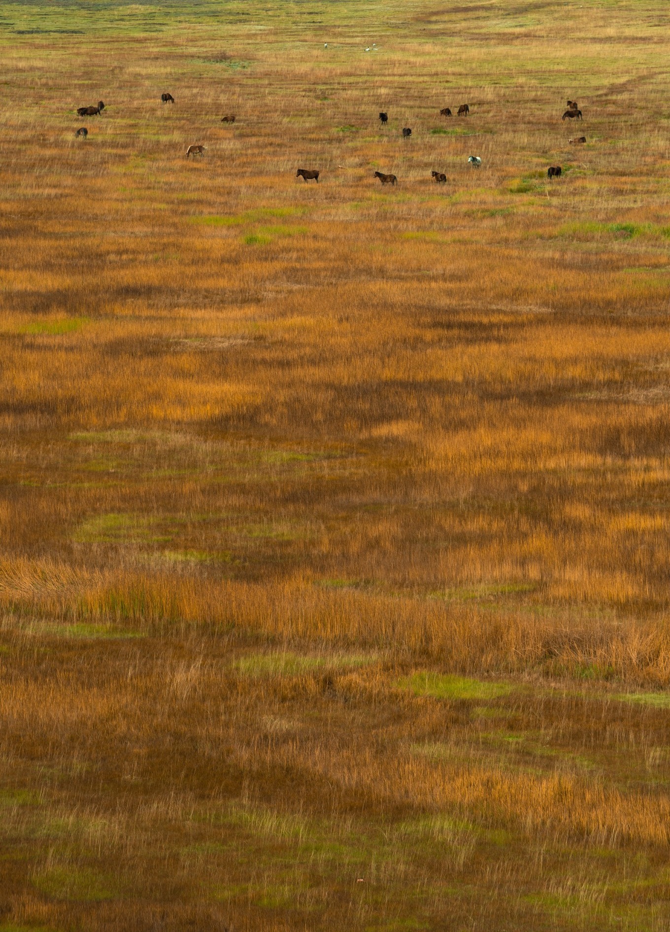 自驾云南滇藏,自驾滇西北旅游