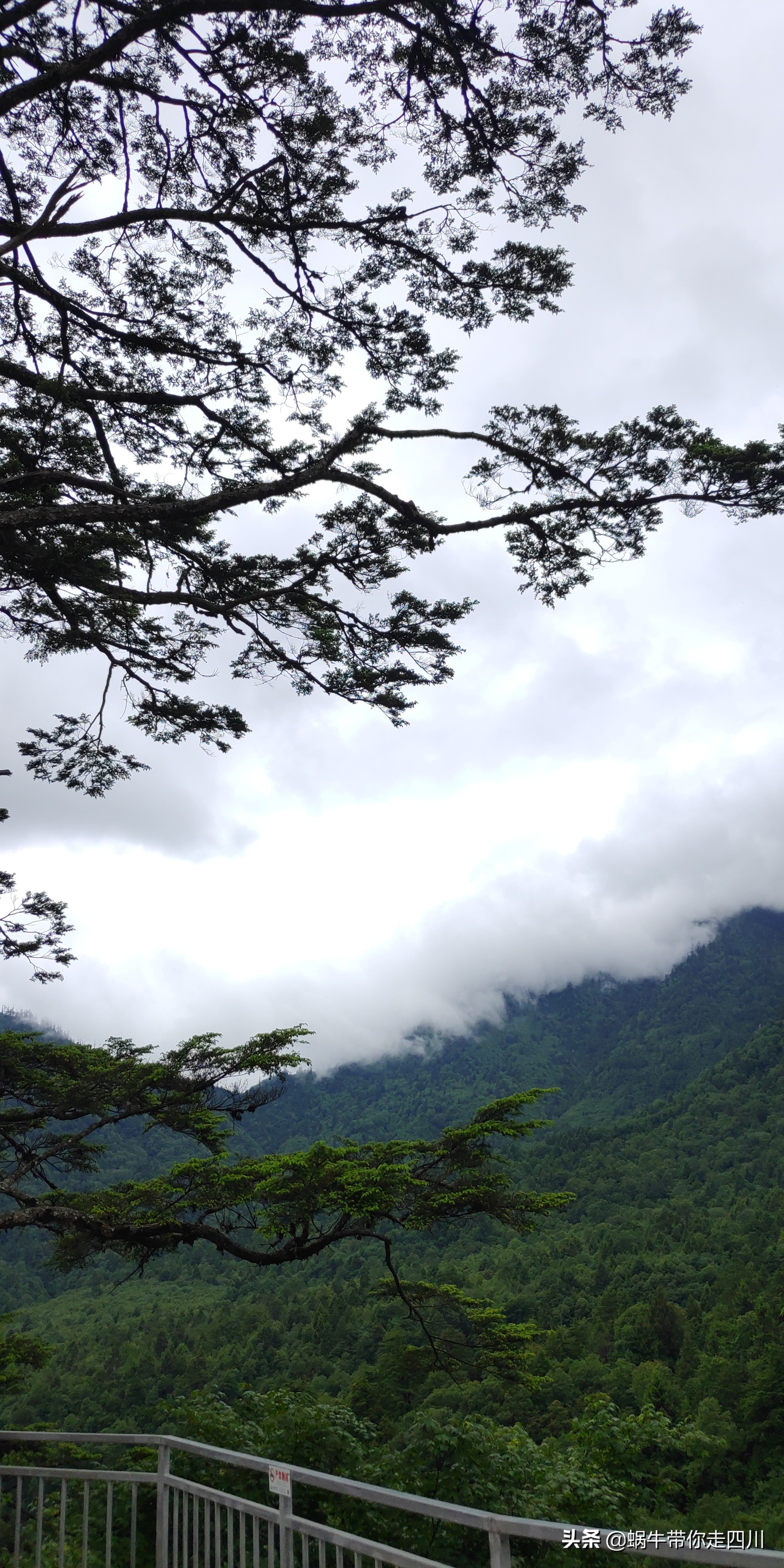 一家三口重庆到拉萨旅游攻略预算,一家三口成都去拉萨大概要多少钱