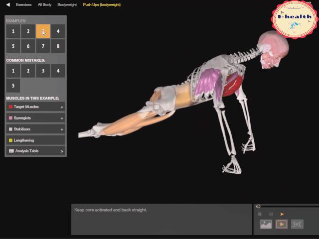 【运动损伤Respond】第一期，俯卧撑与肘关节疼痛。