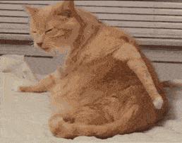 春天适合孩子驱虫吗,儿童春季驱虫选对驱虫药很重要