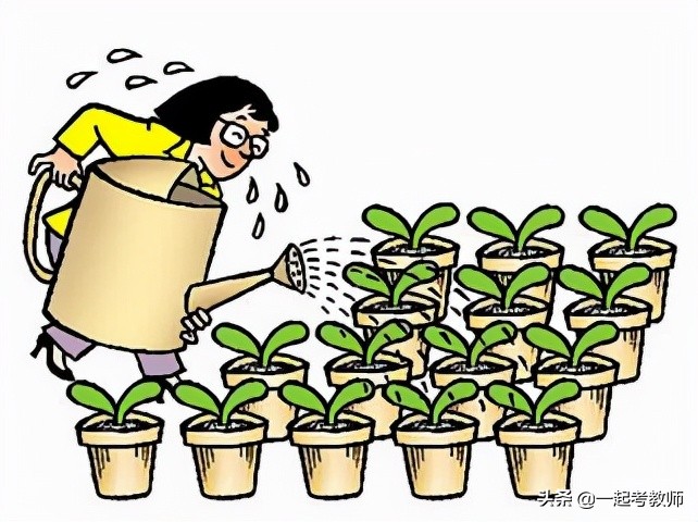 特岗教师到底好不好,特岗教师值得考吗