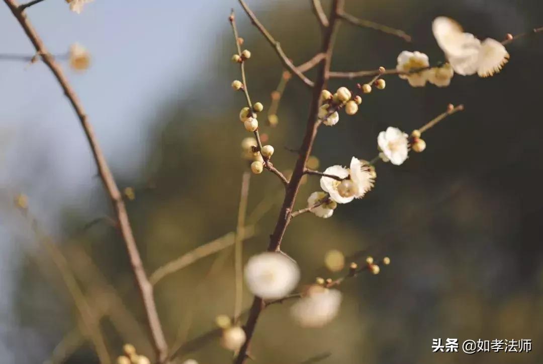 鏄ュぉ鏄敓鍙戠殑瀛h妭涓囩墿澶嶈嫃,鏄ュぉ涓囩墿鐢熷彂瀵撴剰