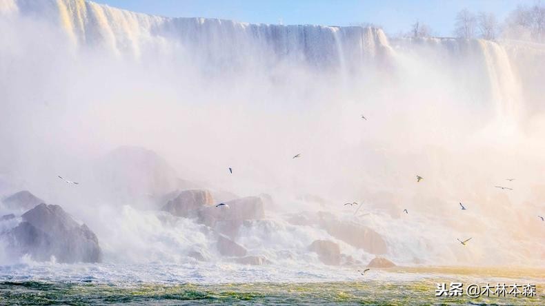 加拿大多伦多生活日记,加拿大多伦多留学生活纪实