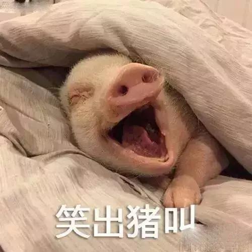 小红书健康养生怎么做,小红书的养生秘诀