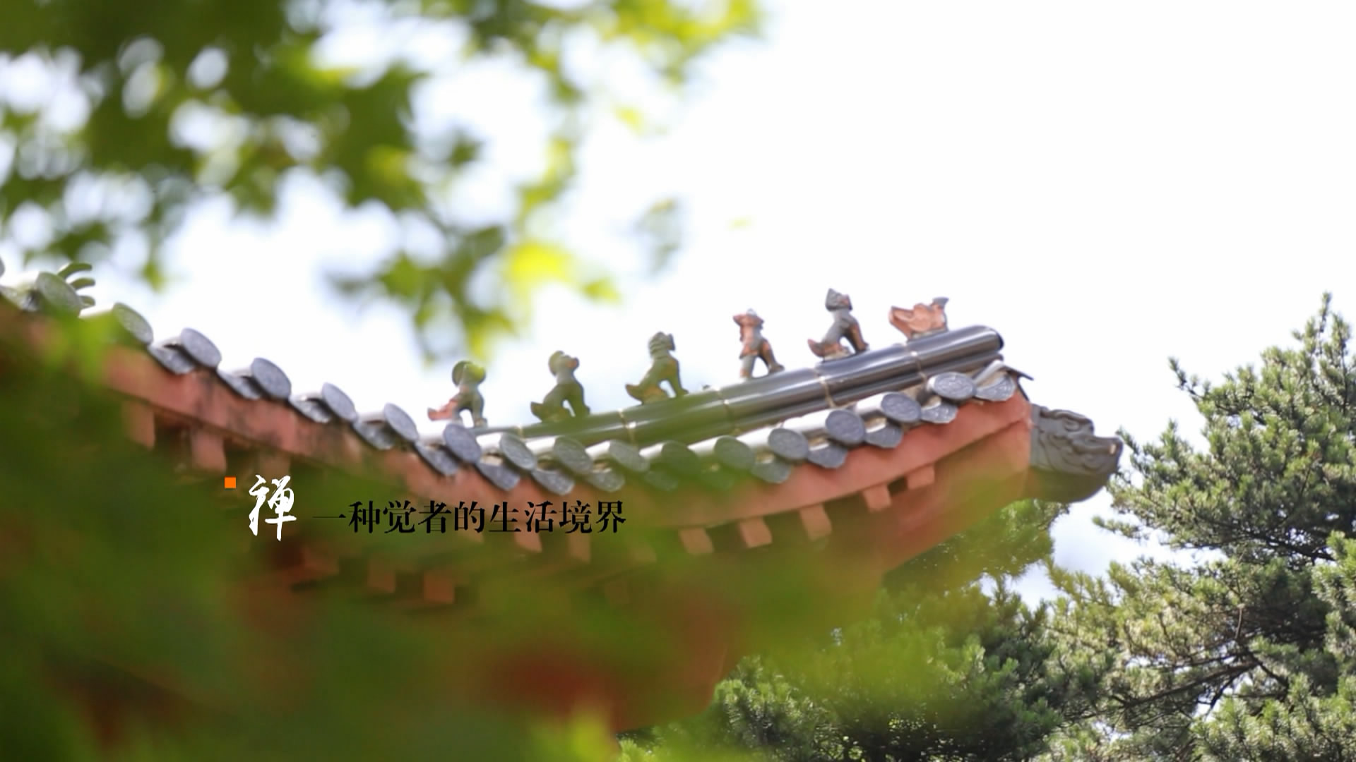 庐山禅修视频,庐山佛教发展史