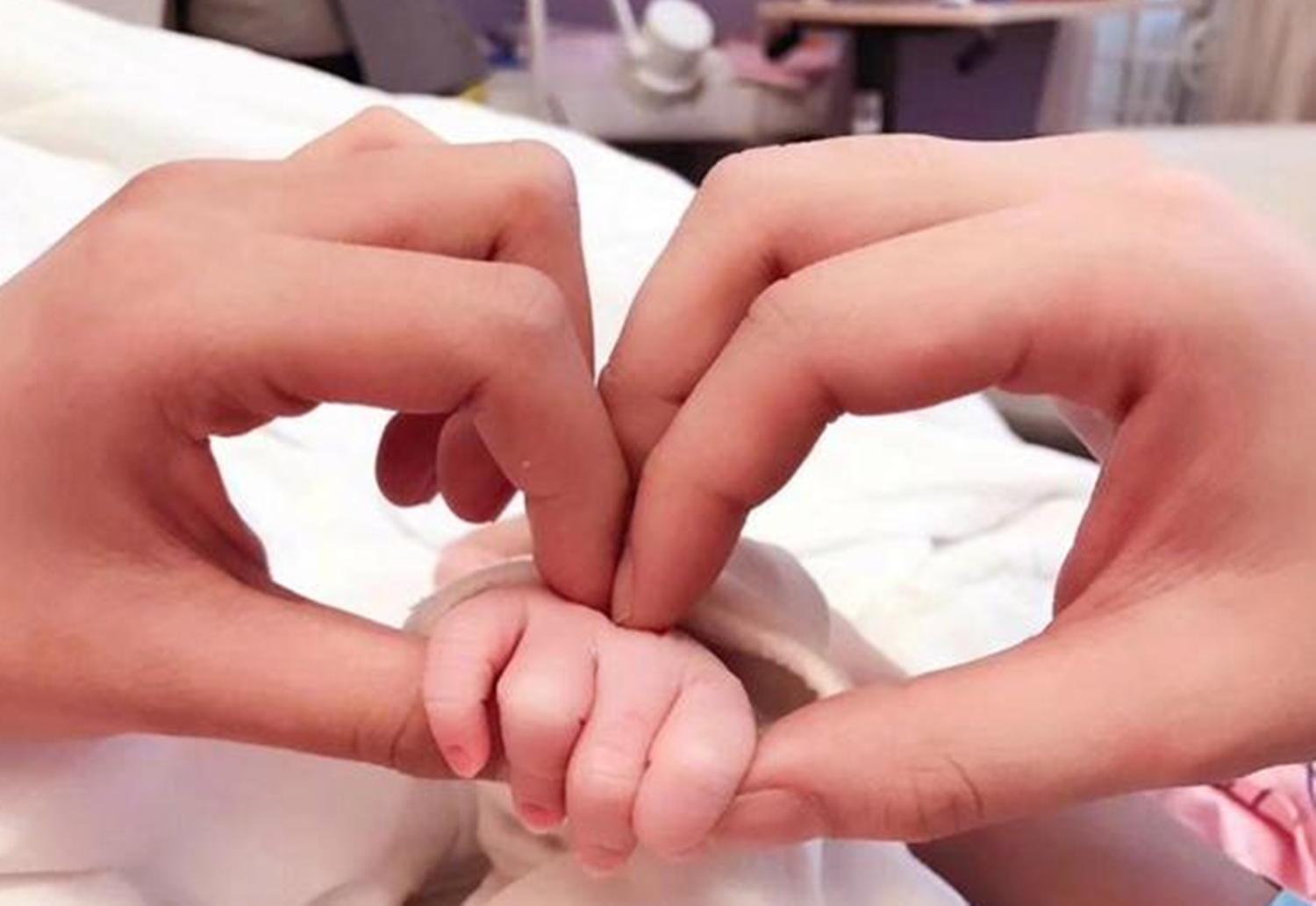 刚出生的猪宝宝需要注意什么,刚拥有猪宝宝注意什么