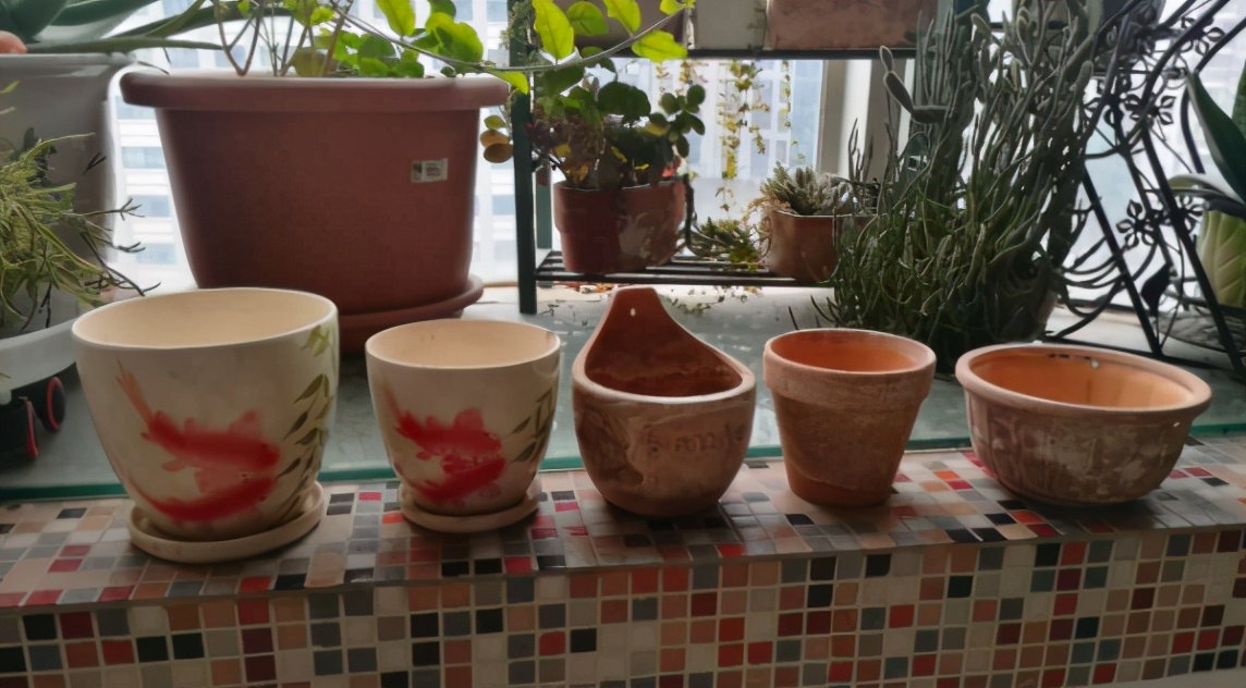 养花怎么选盆,新手养花推荐什么盆