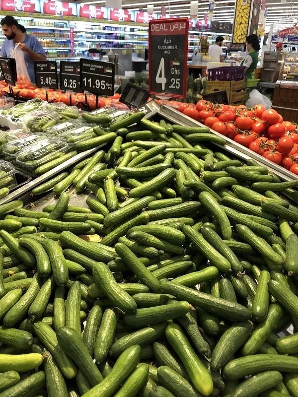 迪拜生活真实工资,在迪拜怎么降低生活成本