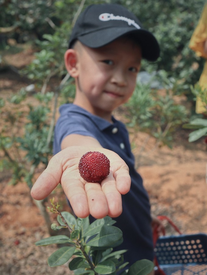 携家带口游火山岛,火山岛旅游攻略自由行包车
