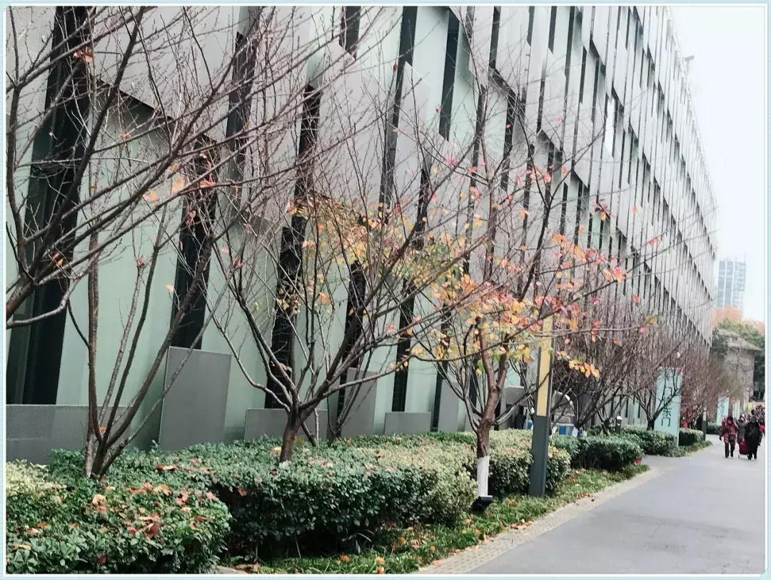 南京鼓楼医院和省人民医院哪个好,南京鼓楼医院曾经的样子