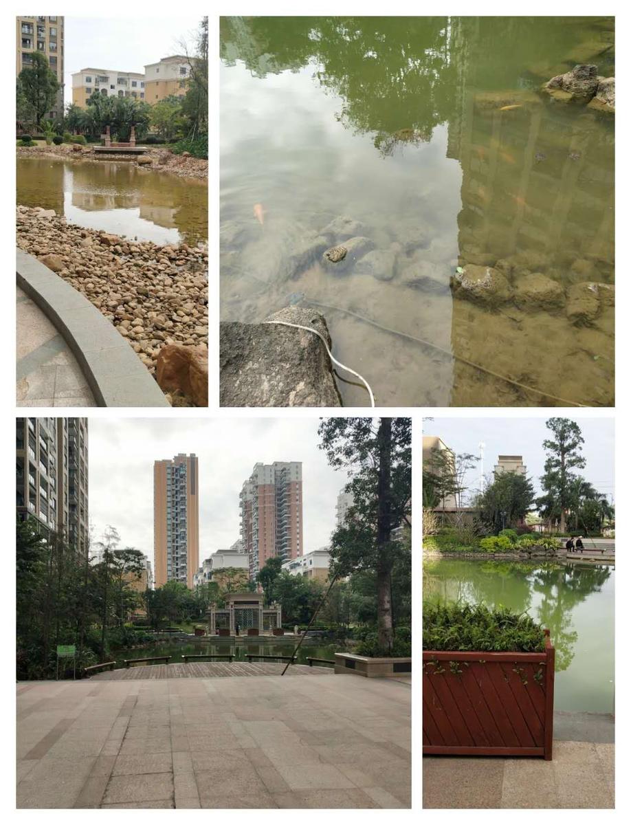 碧园海公馆在哪个地方,北海市碧园海公馆小区