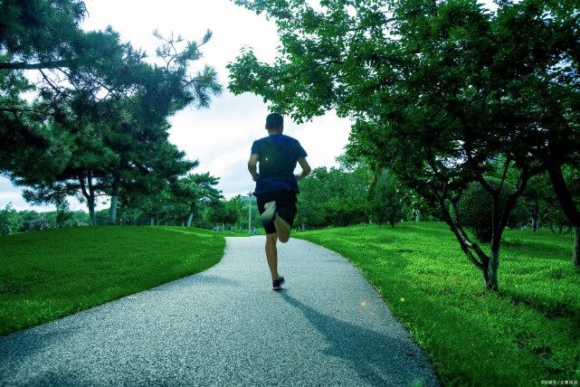 生命不止运动不息下一句怎么说,跑步圣经心得体会