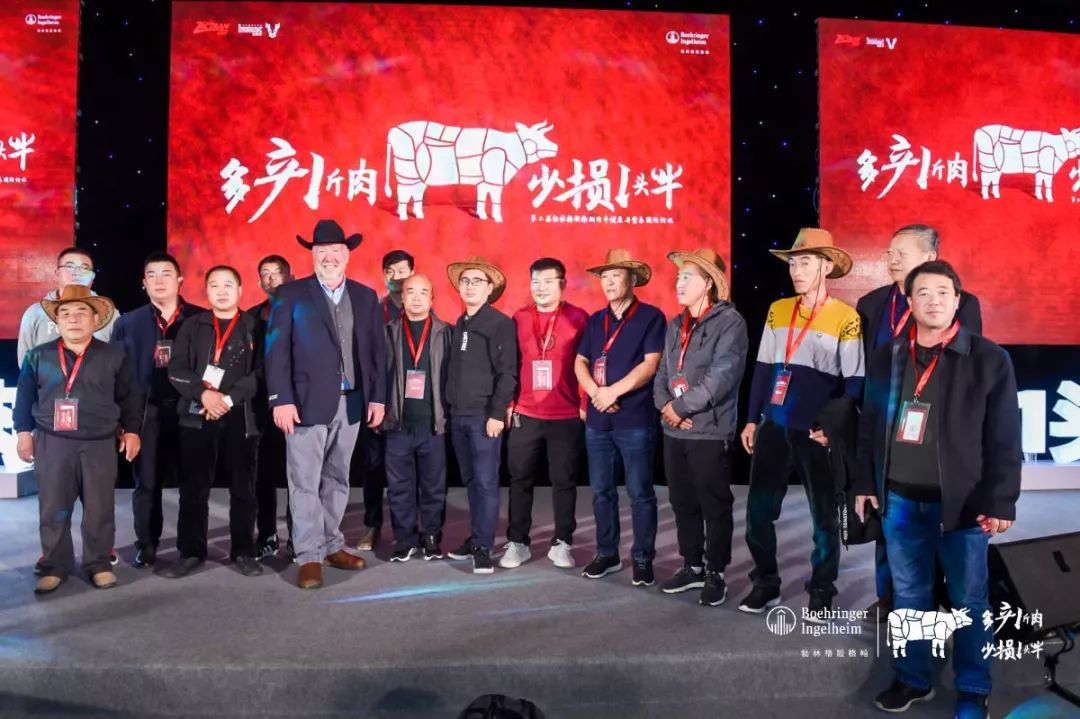 这一次，风口上站的是肉牛