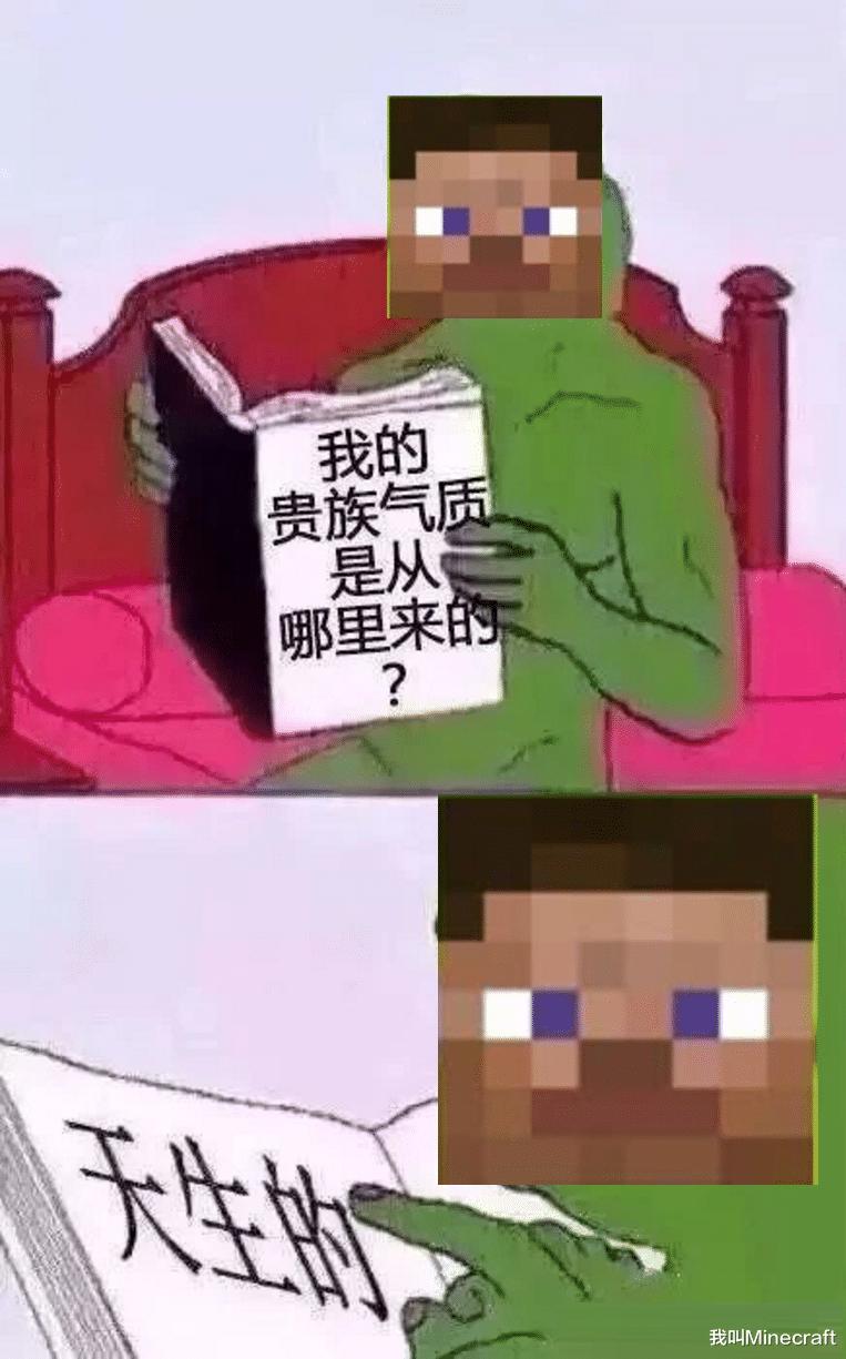 我的世界：“凡尔赛文学”是个什么梗？玩家：我有20铁，怕否？