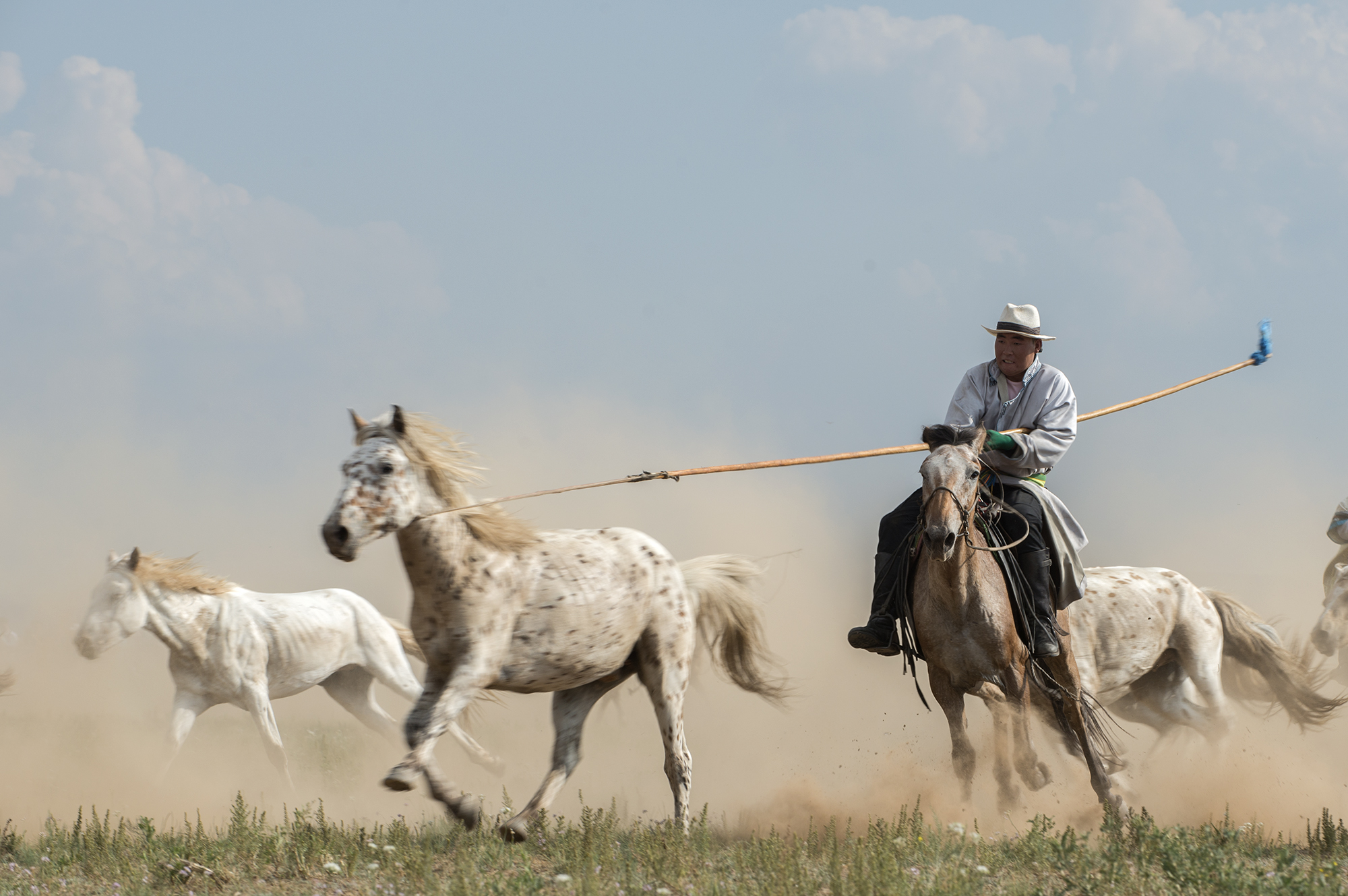蒙古族传统体育之赛马,蒙古族传统体育项目博克
