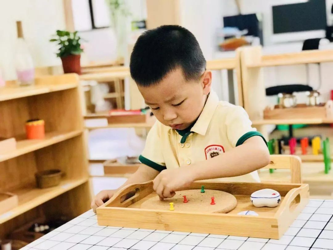 蒙台梭利为什么0-6岁是早教关键期,蒙台梭利感觉训练含义