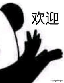 花露水可以驱猫猫身上的跳蚤吗,用什么给猫猫洗澡可以去掉跳蚤