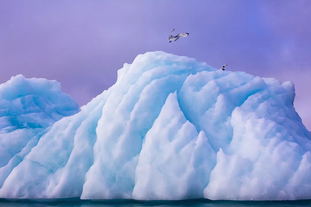 姜平摄影讲座——给你阐述自然摄影的“光彩大地”