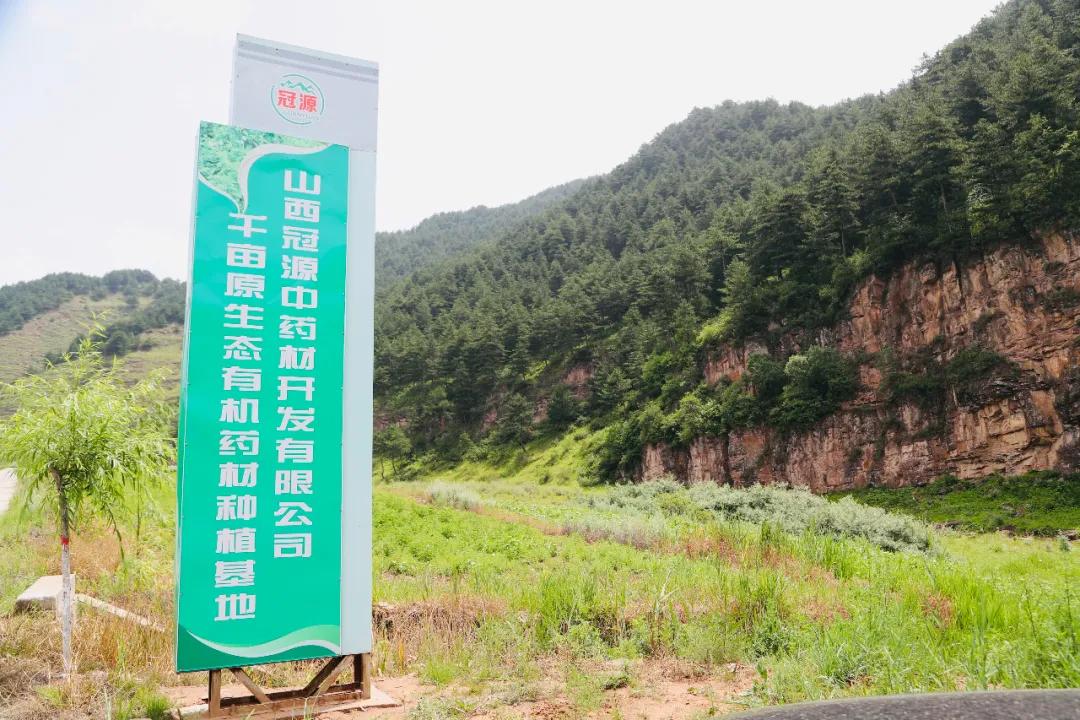 沁源官滩最新规划,沁源乡村振兴产业发展项目