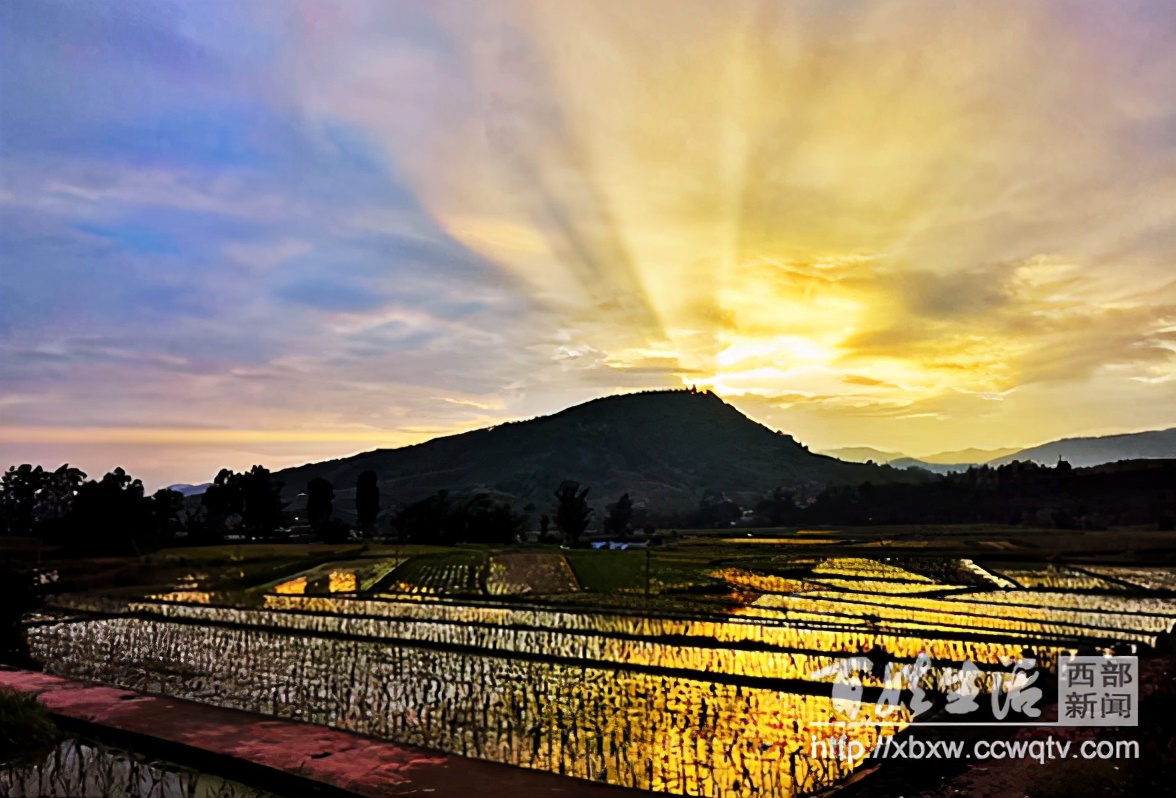 浼氱悊妤犻櫌,浼氱悊鍙ゅ煄妤犻櫌