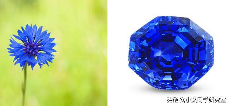 颜色太鲜艳了调饱和度吗,颜色真的太重要