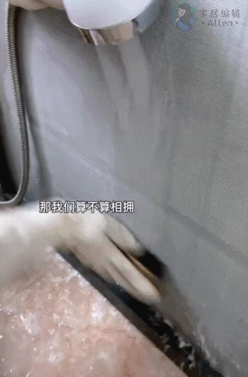 越来越多人去风格化设计,日式去家务化设计