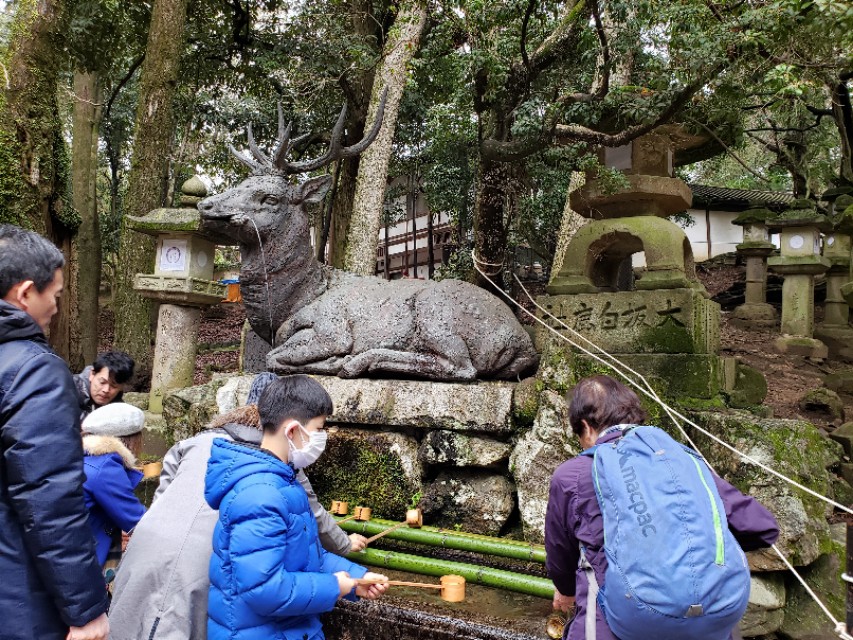 如果你今生只想去一次日本，千万别跟我一样，报这样的旅行团五