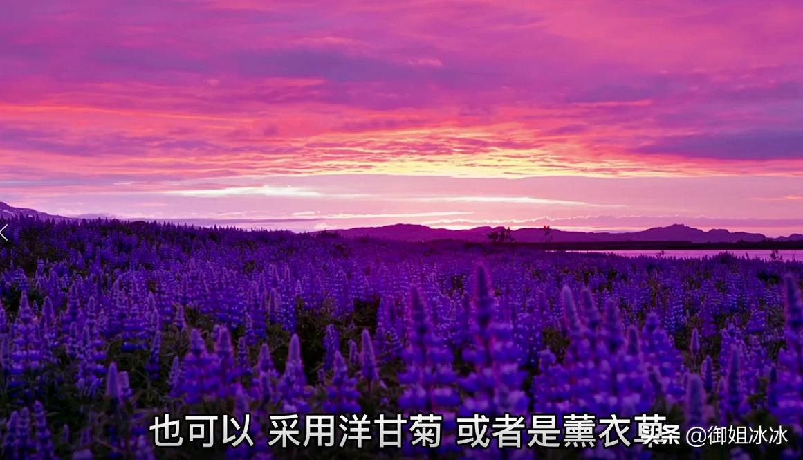 纯露玫瑰花自制,自己在家制作玫瑰纯露的方法