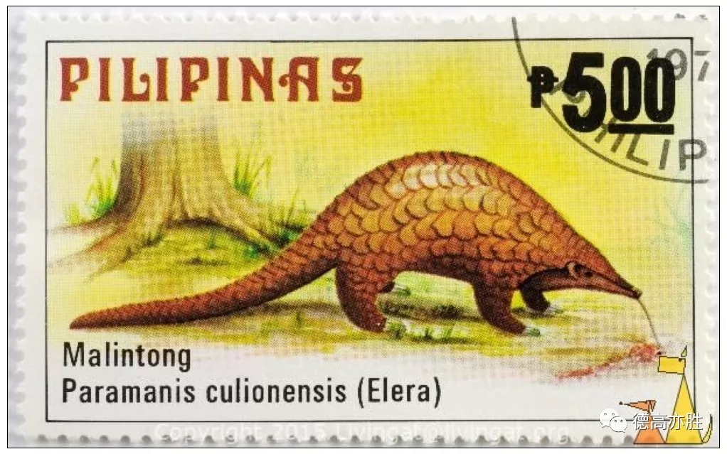 童正祥：邮票上的穿山甲故事