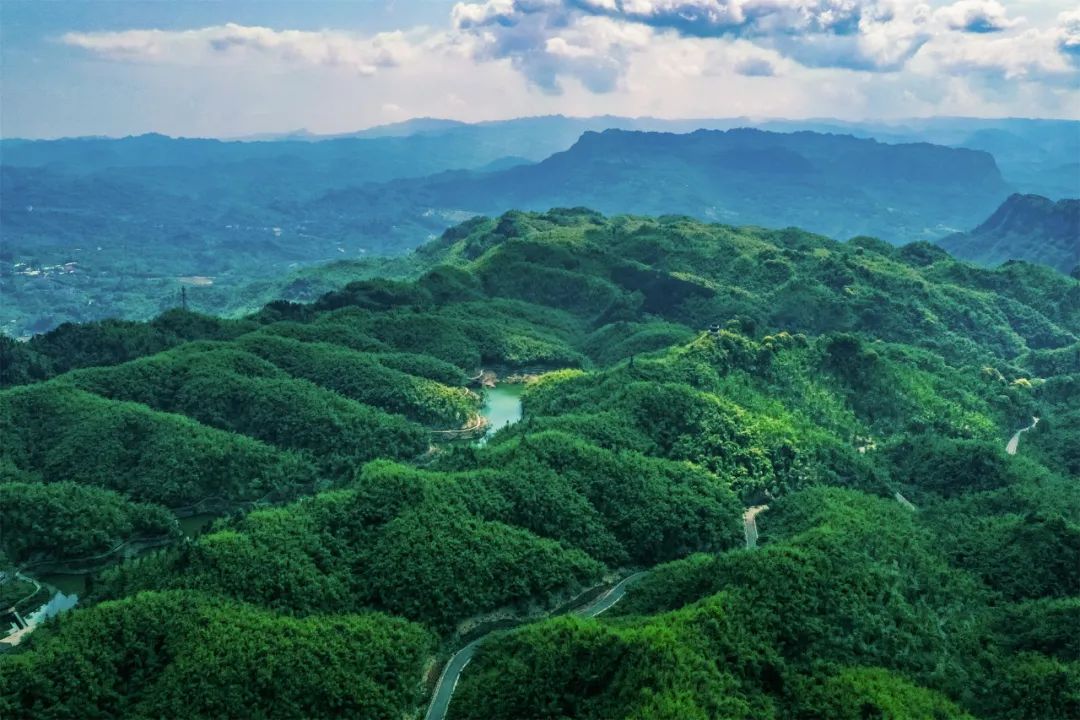 沐川竹海看雪,沐川竹海游玩视频