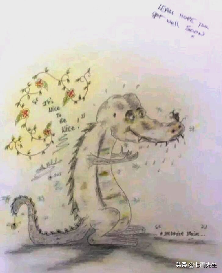 为什么弗雷尔卓德选择布隆,布隆弗雷尔卓德之心背景故事