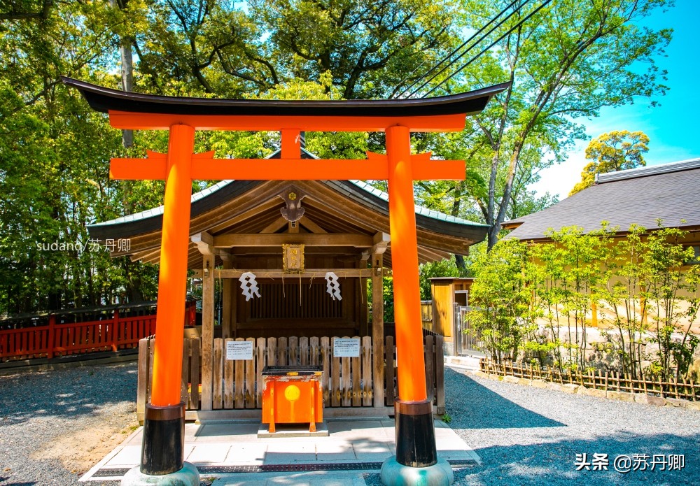 京都伏见稻荷神社可以爬一半吗,京都之旅