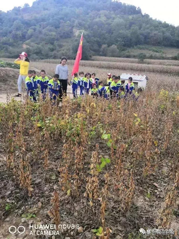 金太阳幼儿园校门,延安市甘泉谢金庄幼儿园