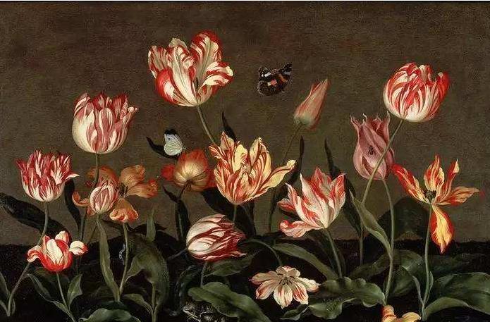 世界花都荷兰，究竟有多爱花？一朵郁金香抵十年工资