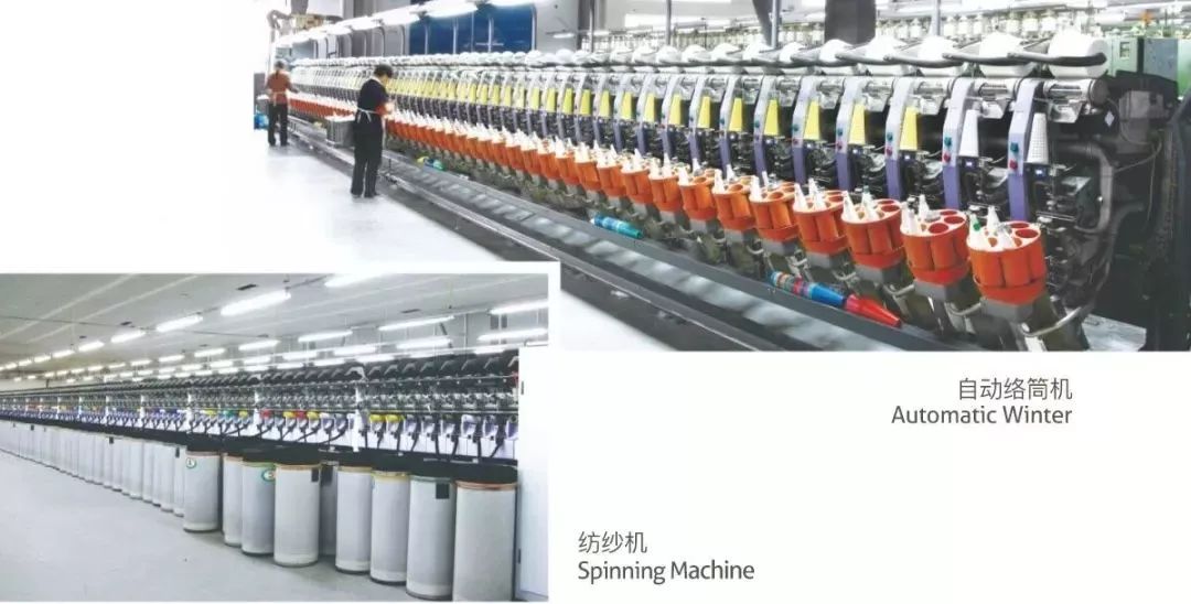 小蓝羊四季鞋,小蓝羊经典款