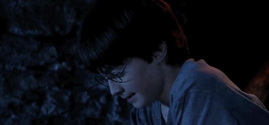 哈利波特的一生,哈利波特人物一生回忆录