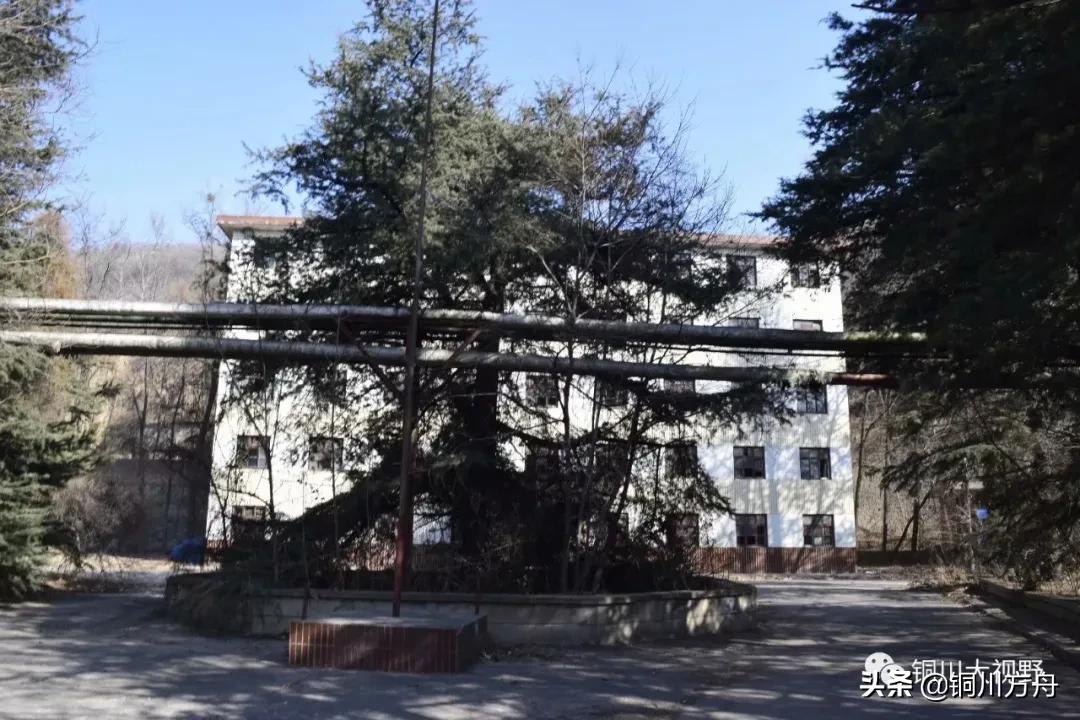 还记得当年啤酒的味道吗,铜川有什么啤酒品牌