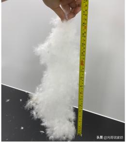 番鸭为什么这么厉害,番鸭绒是什么绒