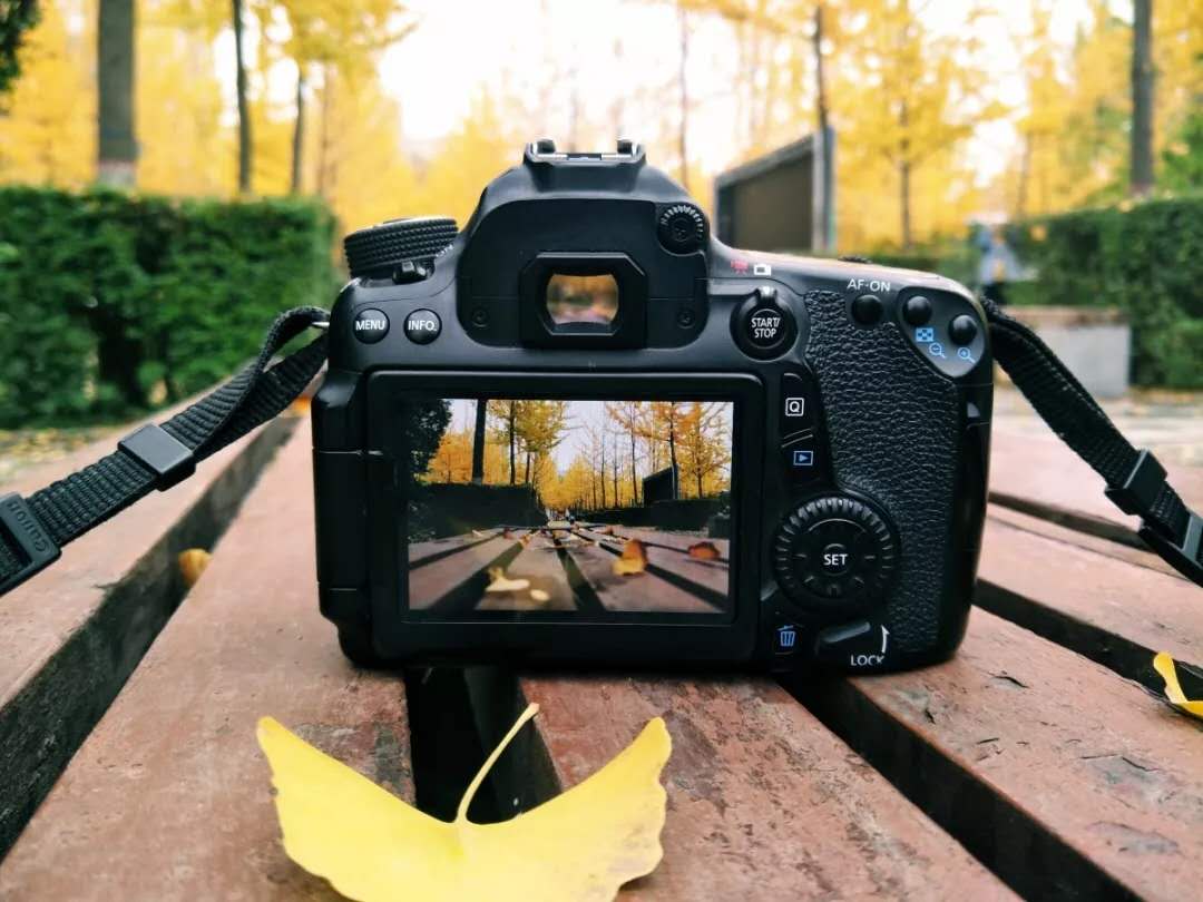 陕西女神学霸：学习好，颜值高，将赴211名校继续深造