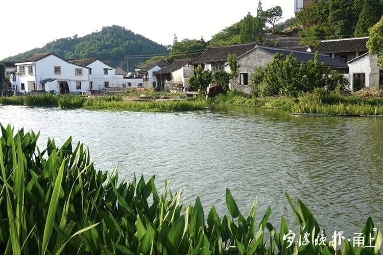 宁波东钱湖梅湖小镇,宁波东钱湖山村
