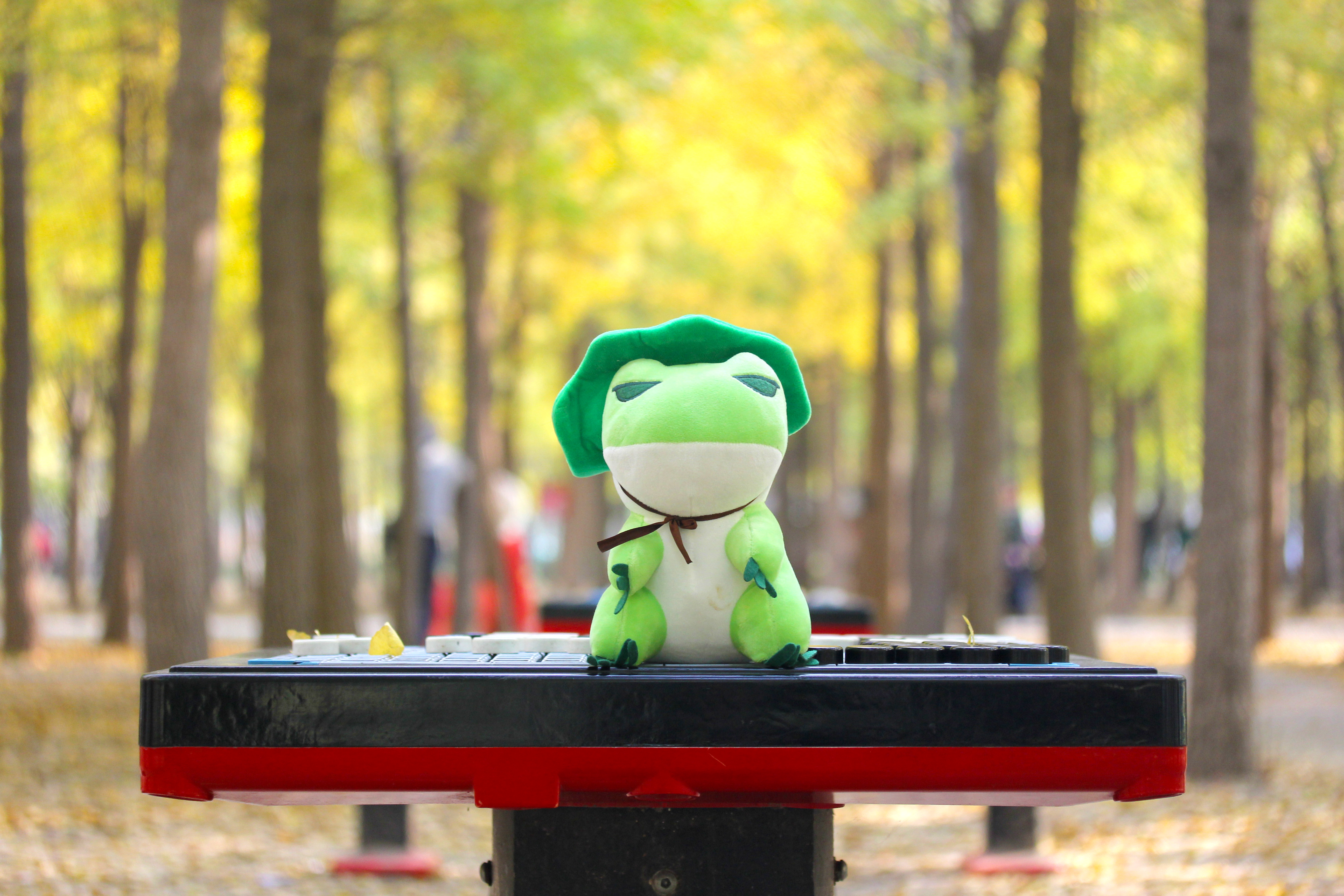 北京海淀区小众公园,北京小众森林公园