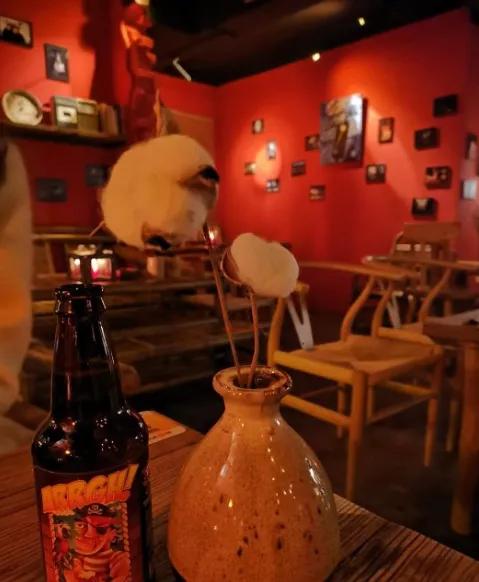 夏日沉醉的夜晚,夏季的夜晚出去走走