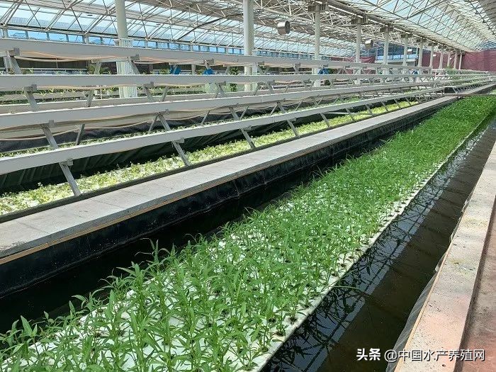 节水节电绿色低碳,节水节电低碳减排