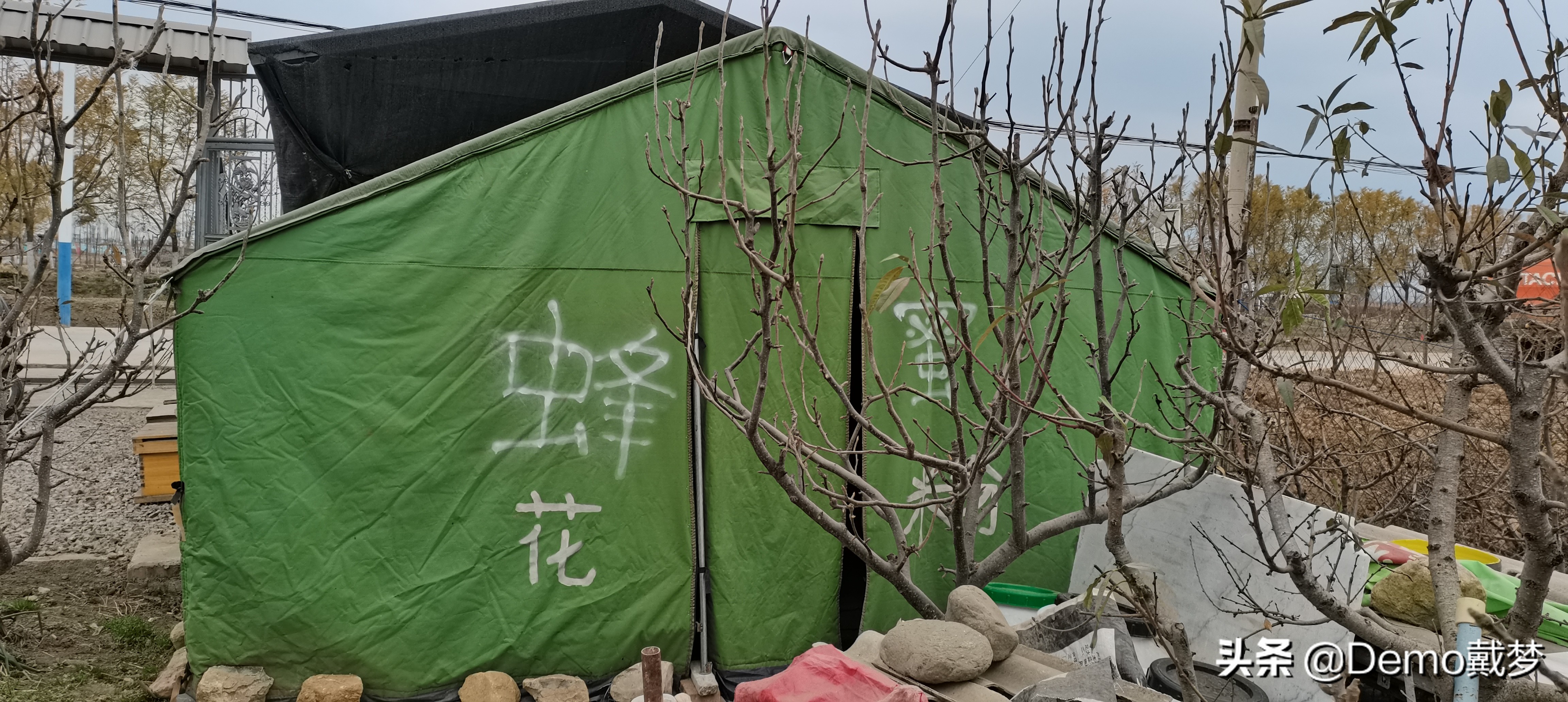 一群流浪的养蜂人,流浪的养蜂人