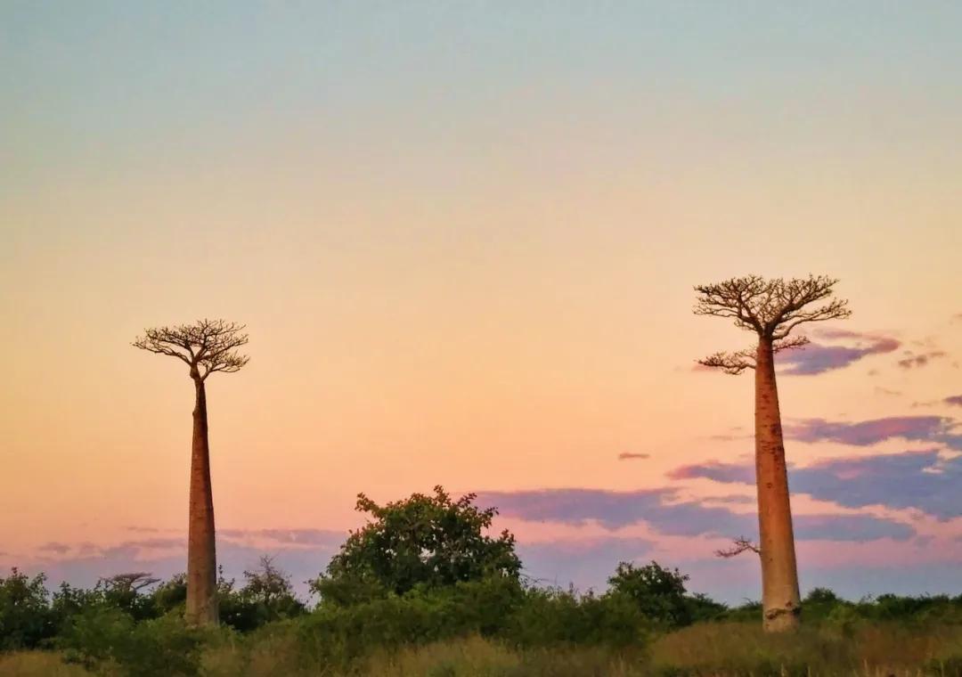 十年蝶变的女孩,十年逆袭的女人