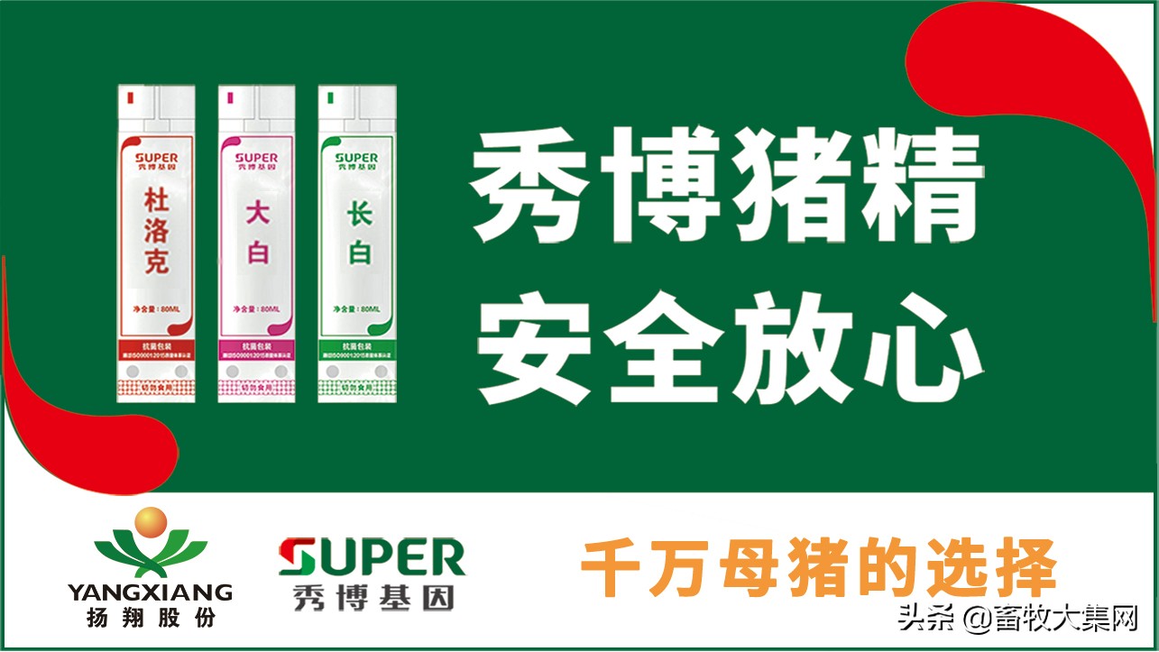 生猪出栏减少，高管大换血，中报巨亏，大卖资产，天邦今年有点难